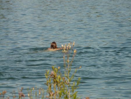 Eine Frau schwimmt in einem See.