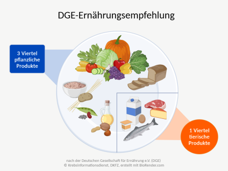Die DGE empfiehlt zu 3 Vierteln pflanzenbasierte und zu 1 Viertel tierische Lebensmittel.