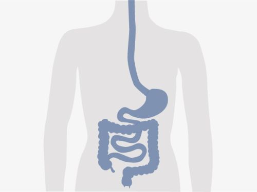 Grafische Darstellung eines menschlichen Oberkörpers, blau eingefärbt der Magen-Darm-Trakt.