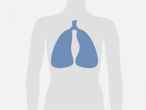 Lungenkrebs © Krebsinformationsdienst, Deutsches Krebsforschungszentrum