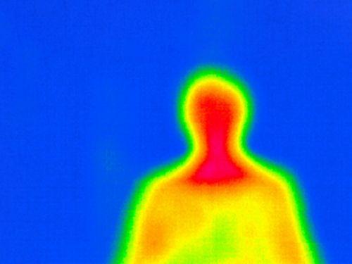 Wärmebildaufnahme von einem menschlichen Oberkörper. © Krebsinformationsdienst, DKFZ
