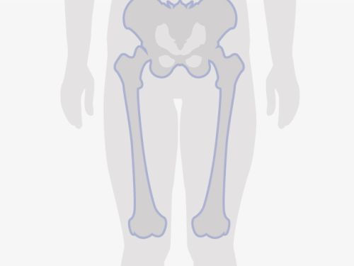 Grafische Darstellung eines menschlichen Oberkörpers, blau umrandet sind die Knochen.