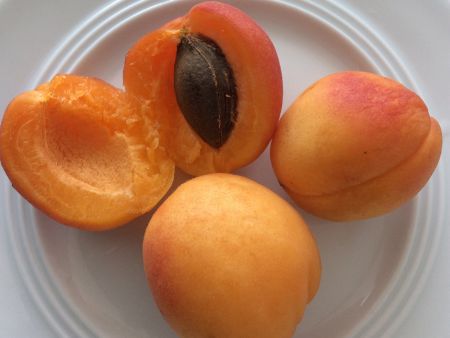 Auf einem weißen Teller liegen 2 Aprikosenhälften, eine davon mit dem Aprikosenkern, neben 2 ganze Aprikosen. 