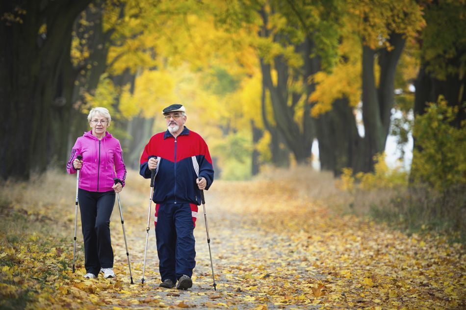 Älteres Paar im Wald mit Walkingstöcken © pershinghks/Thinkstock
