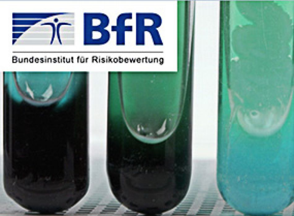 BfR Homepage Screenshot © Bundesinstitut für Risikobewertung (BfR)