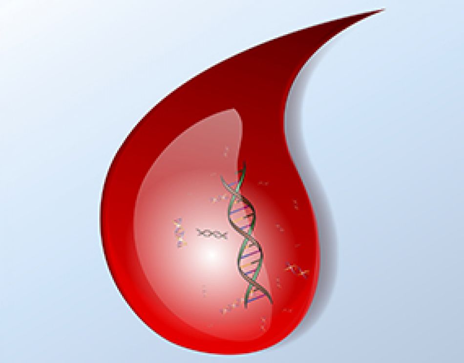 DNA in einem Blutstropfen © D.Anders/DKFZ
