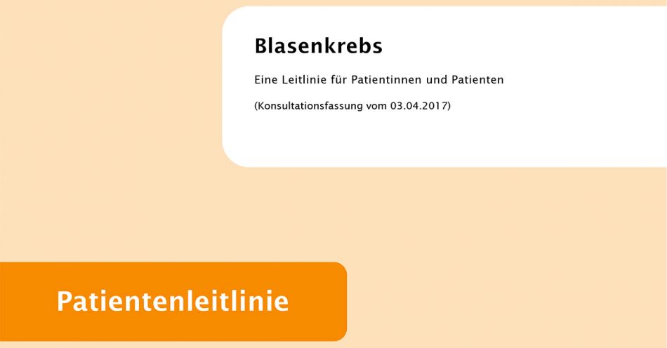 Deckblatt der Patientenleitlinie "Blasenkrebs" (Konsultationsfassung) © Leitlinienprogramm Onkologie