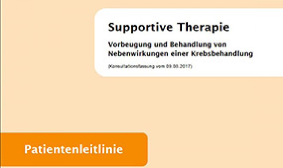 Screenshot Patientenleitlinie Supportive Therapie © Leitlinienprogramm Onkologie
