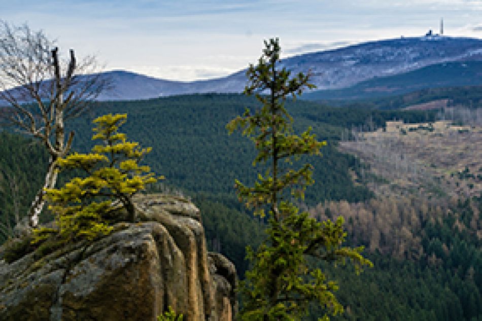 Der Harz, Foto: ©oxie99, Stock.Adobe