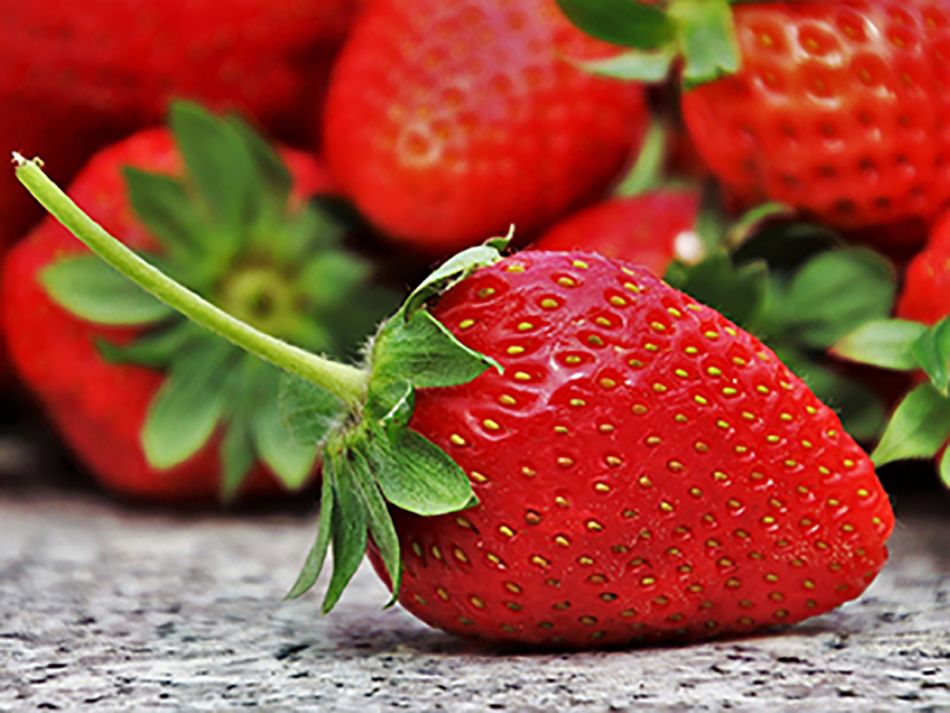 Erdbeere © pixabay