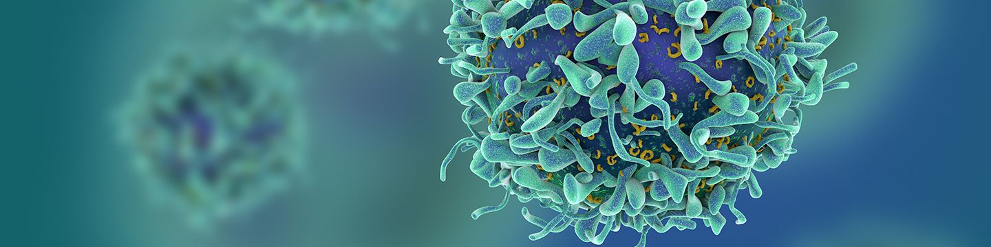Dreidimensionale Darstellung von Krebszellen © fusebulb, Shutterstock