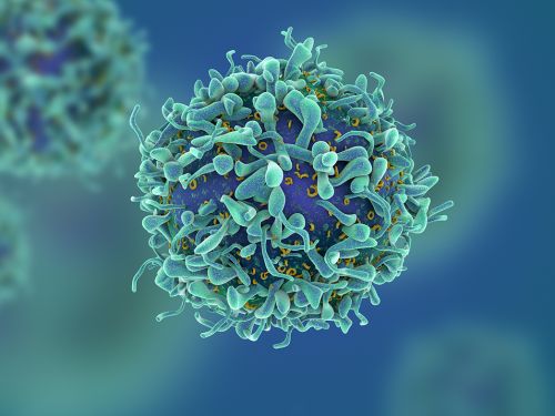 Dreidimensionale Darstellung von Krebszellen © fusebulb, Shutterstock