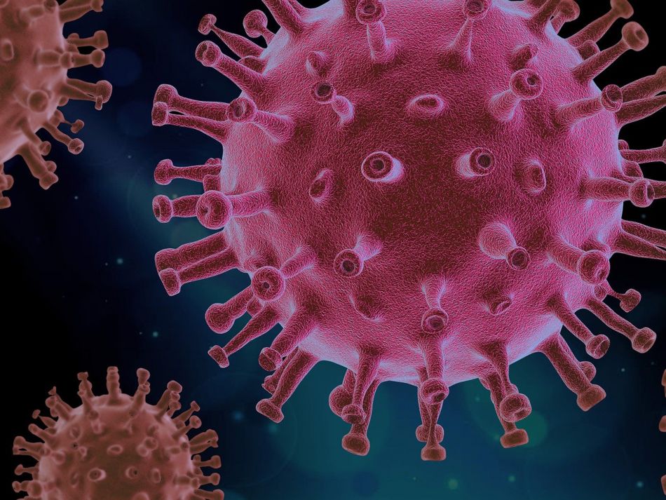 Coronavirus in mikrospkopischer Ansicht