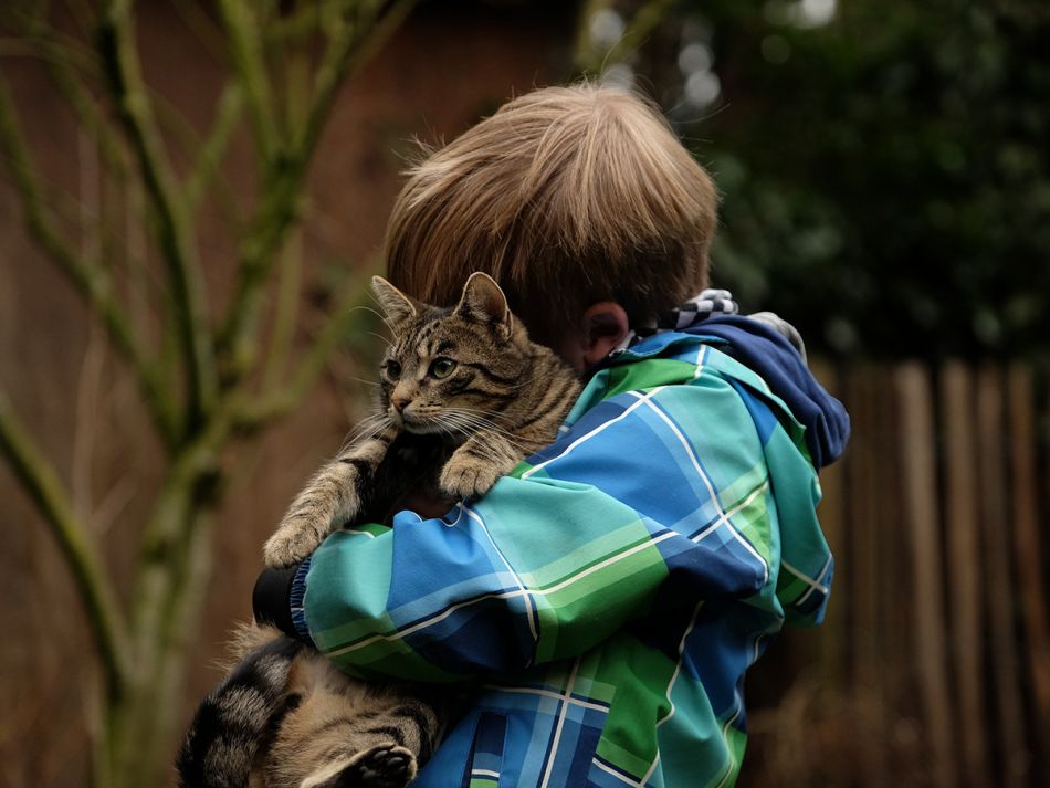 Kind schmust mit einer Katze. © Westfale, Pixabay