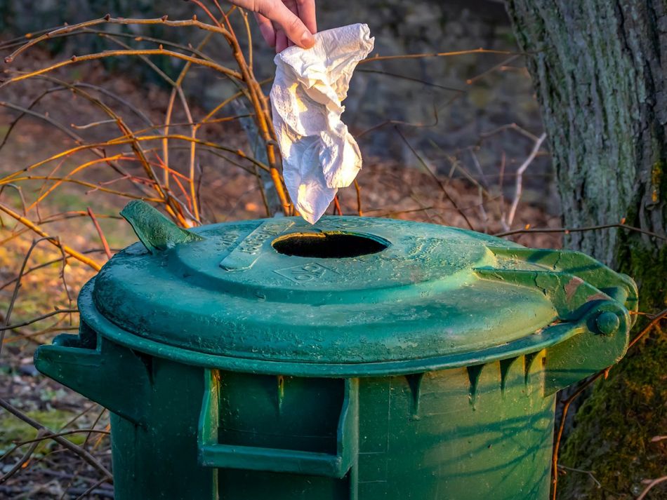 Eine Hand wirft ein Taschentuch in einen großen grünen Mülleimer. © analogicus, Pixabay