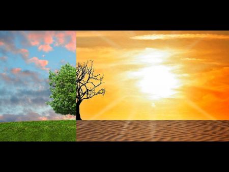 Ein einzelner Baum steht in einer ebenen Landschaft, das Bild ist in der Mitte geteilt: Auf der linken Bildseite trägt der Baum Blätter und steht auf einer grünen Wiese. Auf der rechten Seite steht er kahl unter der strahlenden Sonne, die Landschaft ist trocken und wüstenartig [Symbolbild für den Klimawandel].