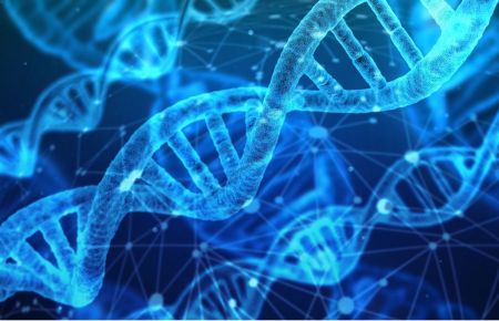 DNA-Stränge vor einem blauen Hintergrund