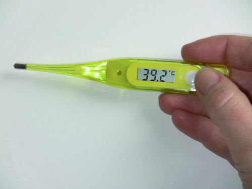 Ein Fieberthermometer zeigt 39,2 Grad Celsius