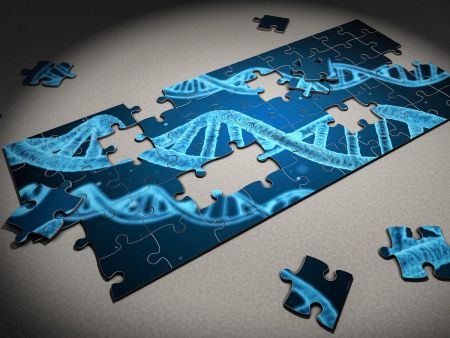 Das Bild zeigt ein unvollständiges Puzzle mit verschiedenen DNA-Strängen. © Arek Socha, Pixabay