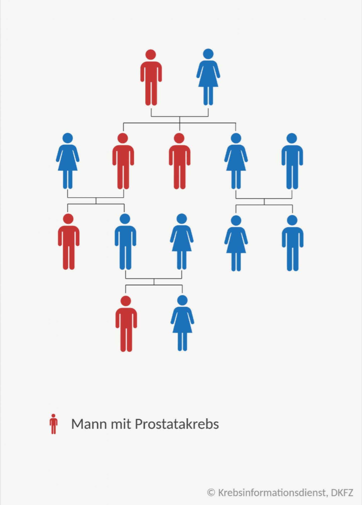 Stammbaum einer Familie mit erblichen Prostatakrebs: Es gibt Väter und Brüder die erkrankt sind und solche die gesund geblieben sind.