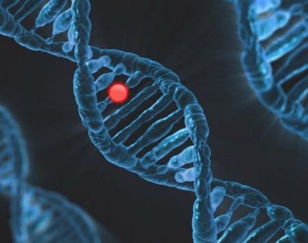 Erbinformation als DNA-Doppelhelix mit einzelner Mutation