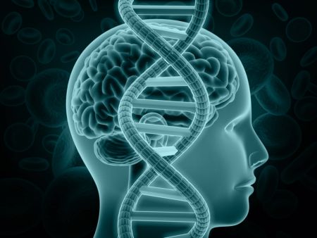Ein schematischer Querschnitt durch ein menschliches Gehirn wird von einer DNA-Doppelhelix überlagert.