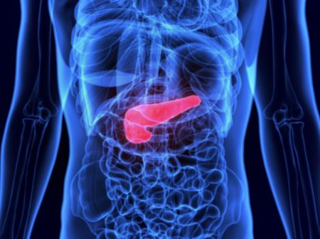 Die Bauchspeicheldrüse (Pankreas) liegt im hinteren Bauchraum direkt hinter dem Magen.
