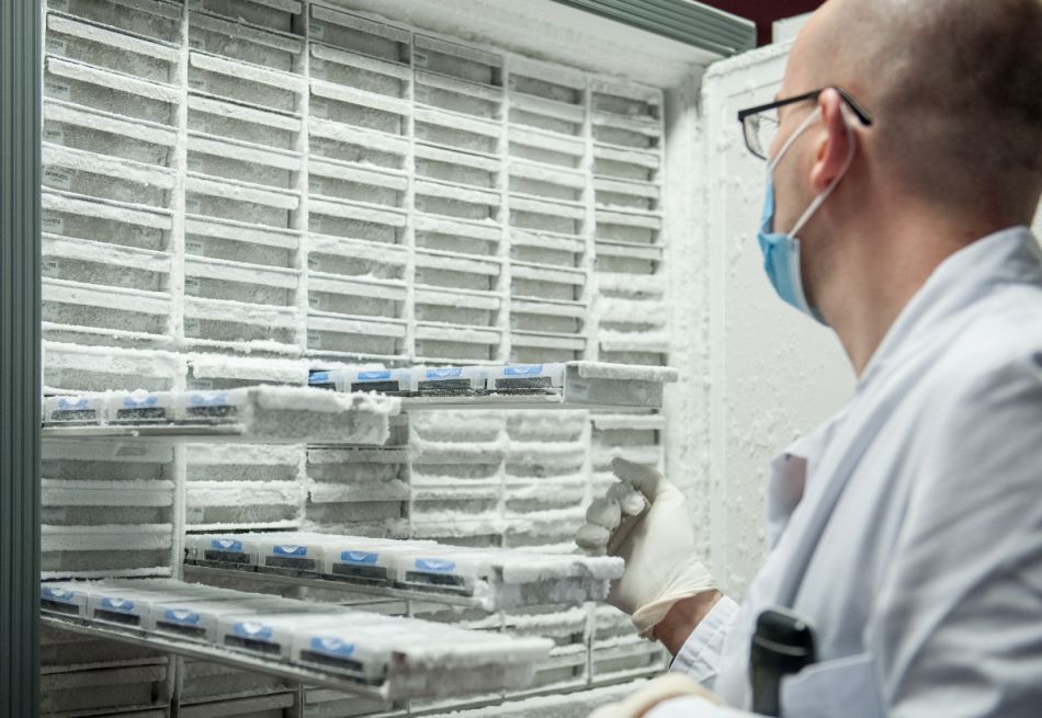Ein Mann mit Laborkittel, Maske und Schutzhandschuhen steht vor einen geöffneten Gefrierschrank, in dem Biomaterial lagert.