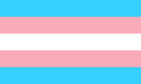 Die Transgender-Flagge hat fünf horizontale Streifen in drei Farben - hellblau, rosa und weiß.