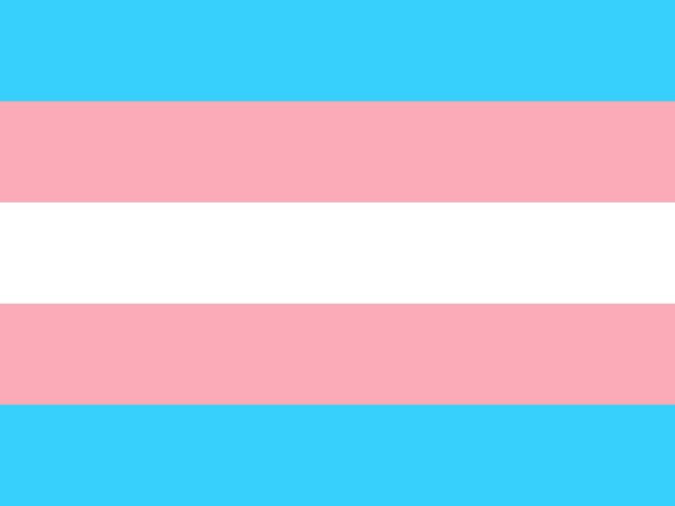 Die Transgender-Flagge hat fünf horizontale Streifen in drei Farben - hellblau, rosa und weiß.