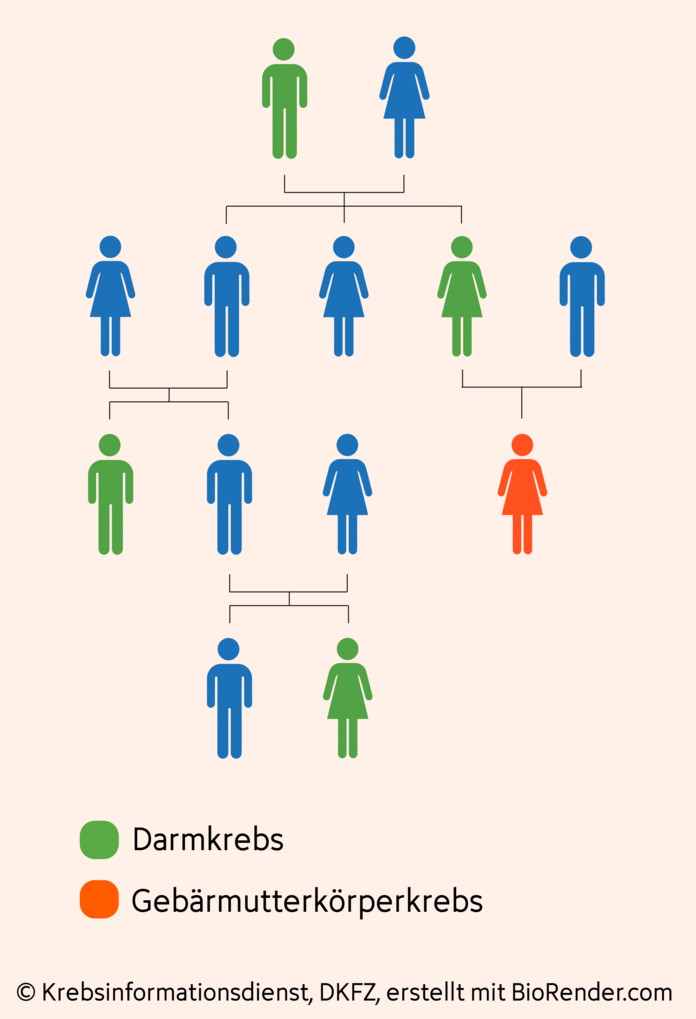 Stammbaum einer Familie mit erblichem Krebs, © Krebsinformationsdienst, DKFZ, erstellt mit BioRender.com Schematische Abbildung eines Familienstammbaums: Einige Angehörige sind an Darmkrebs oder Gebärmutterkörperkrebs erkrankt.