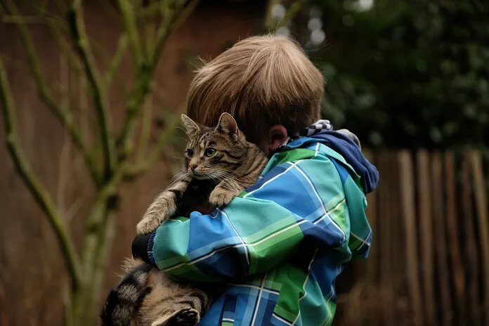 Kind mit Katze, © Westfale, Pixabay Ein kleiner Junge hält schmusend eine Katze an sich gedrückt.
