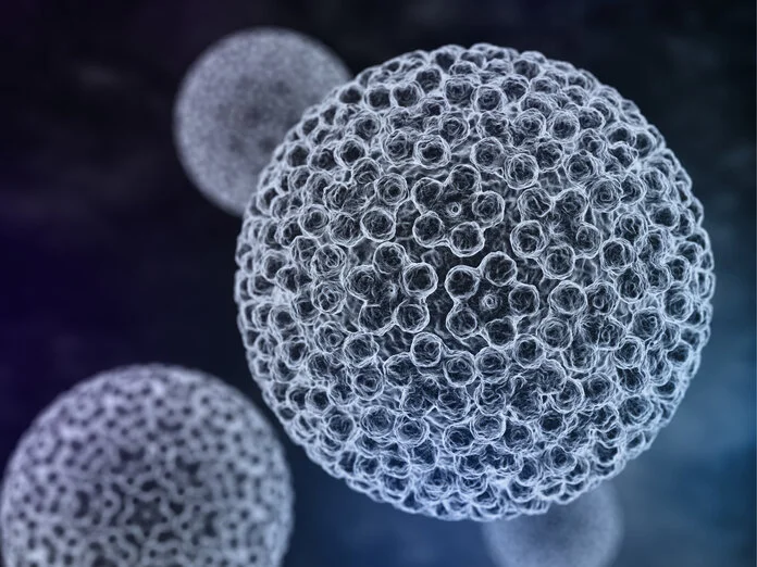 Humane Papillomviren (HPV), © Tatjana Shepeleva, Shutterstock Schematische Darstellung Humaner Papillomviren unter dem Mikroskop