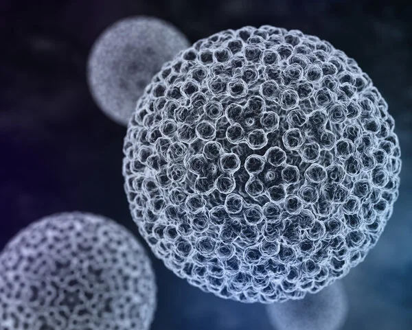 Humane Papillomviren (HPV), © Tatjana Shepeleva, Shutterstock Schematische Darstellung Humaner Papillomviren unter dem Mikroskop