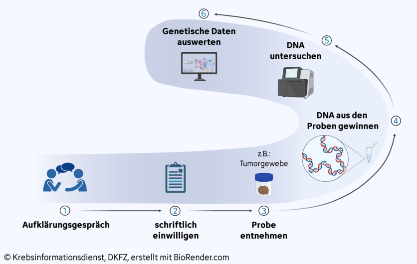 Erheben genetischer Daten, © Krebsinformationsdienst, DKFZ; erstellt mit BioRender.com Grafische Darstellung, wie Forschende genetische Daten erheben: Nach einer Aufklärung und schriftlichen Einwilligung der Patientin oder des Patienten wird Biomaterial (zum Beispiel Blut oder Tumorgewebe) entnommen, dann die DNA daraus gewonnen und untersucht.