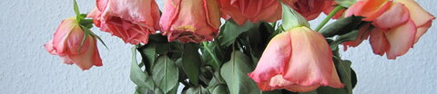 Welkende Rosen in einer Vase auf einem Tisch.