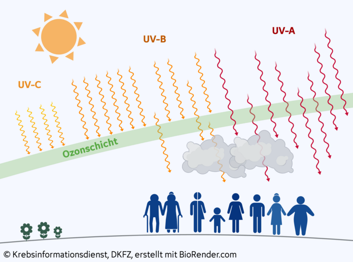 Grafik, die eine Sonne mit ausgehenden UV-Strahlen (UV-A, UV-B und UV-C) zeigt, welche von einer Ozonschicht und zum Teil von Wolken abgefangen werden. Nur einzelne Strahlen passieren und fallen auf Personen, die auf der Erde abgebildet sind.