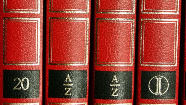 Ausschnitt von den Buchrücken einer Reihe von ledergebunden Lexika.