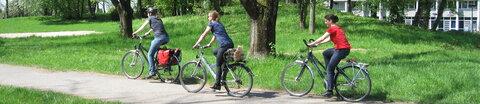 Drei Personen fahren Fahrrad im Grünen.