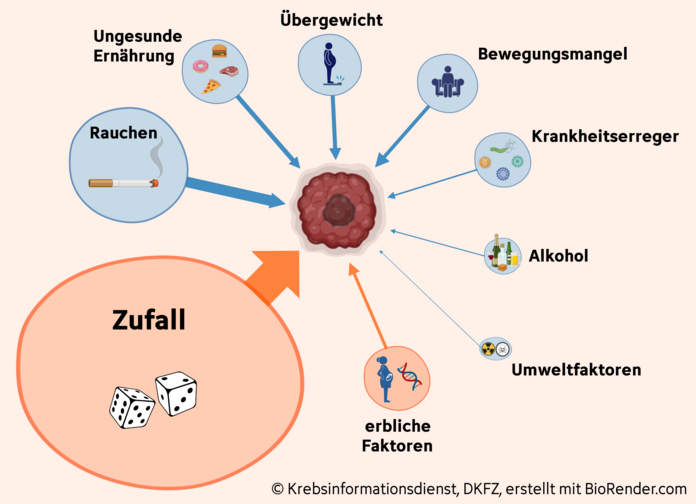 Krebsursachen, © Krebsinformationsdienst, DKFZ; erstellt mit BioRender.com Risikofaktoren für Krebs nach Wichtigkeit