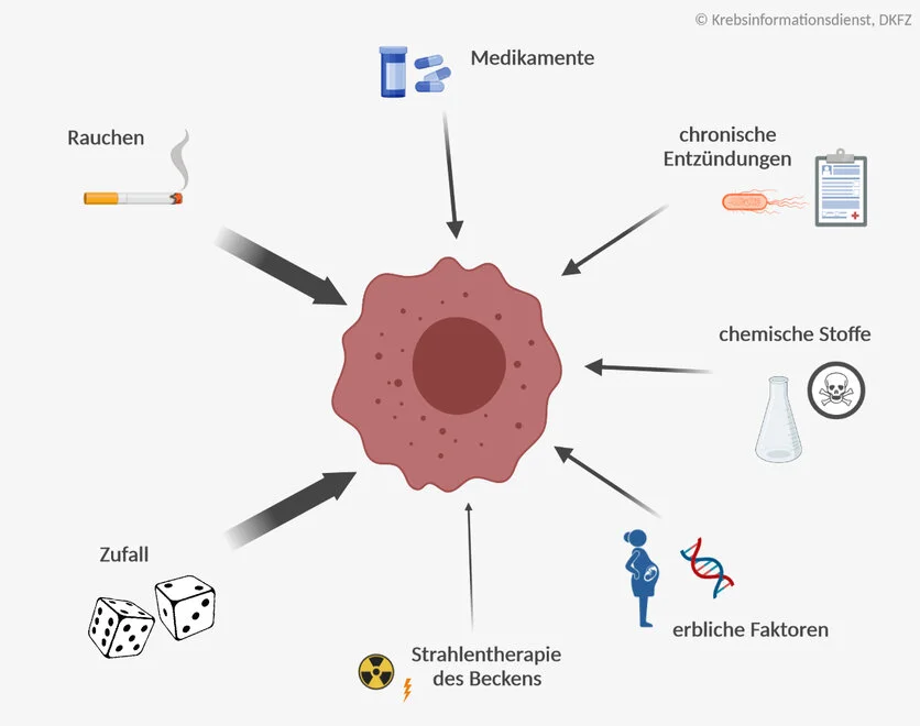Risikofaktoren für Blasenkrebs, © Krebsinformationsdienst, DKFZ; erstellt mit Biorender.com Rund um eine Krebszelle sind die verschiedenen Risikofaktoren für Blasenkrebs unterschiedlich gewichtet dargestellt: Hauptrisikofaktor ist Rauchen. Daneben sind Medikamente, chronische Entzündungen, chemische Stoffe, erbliche Faktoren und mit kleinem Einfluss eine Strahlentherapie des Beckens dargestellt. Auch der Zufall spielt eine wichtige Rolle.