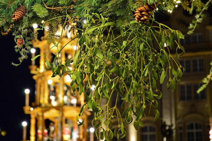 Mistelzweig auf dem Weihnachtsmarkt.