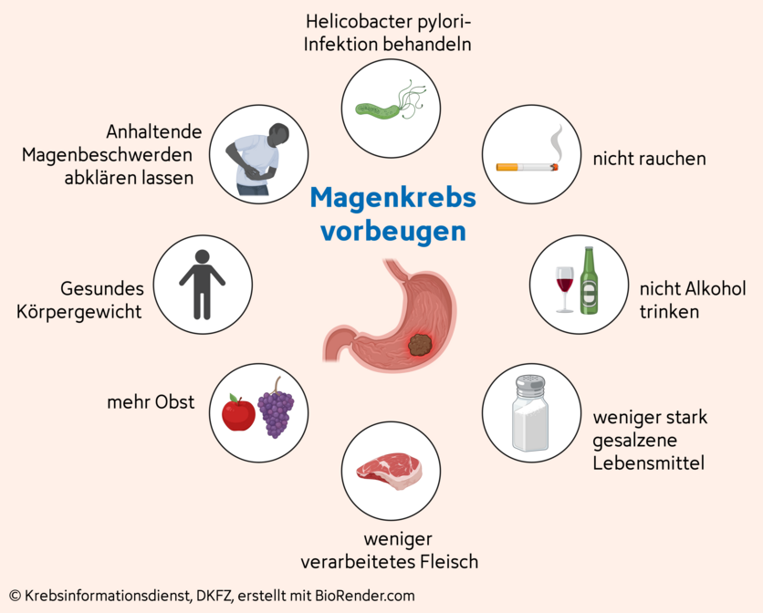 Magenkrebs vorbeugen, © Krebsinformationsdienst, DKFZ; erstellt mit BioRender.com Grafik mit vorbeugenden Maßnahmen gegen Magenkrebs.