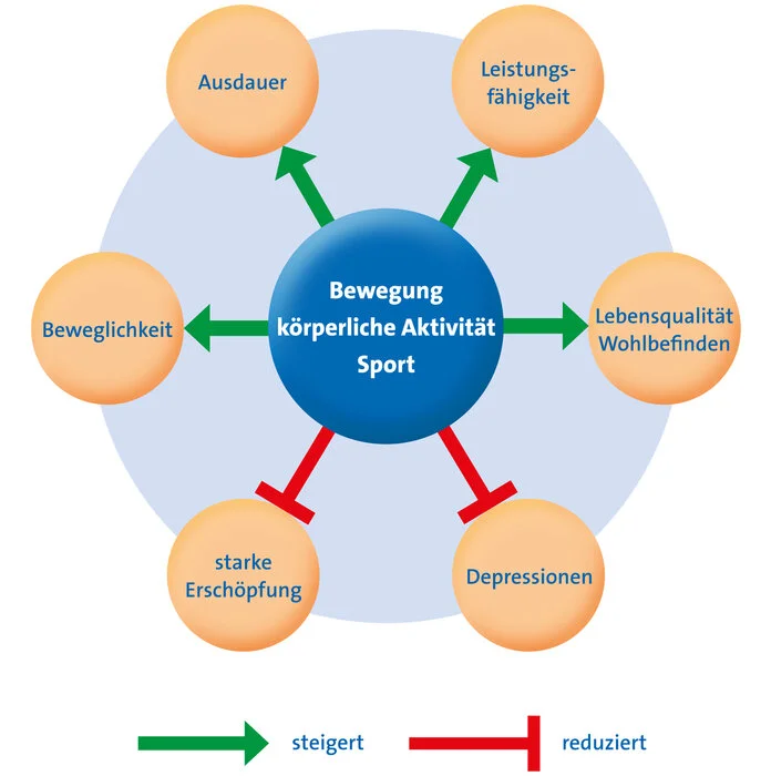 Bewegung bei Krebs, © Krebsinformationsdienst, Deutsches Krebsforschungszentrum Diagramm, das zeigt, auf welche Vorgänge Bewegung, körperliche Aktivität und Sport bei Krebs Einfluss nehmen kann. Es fördert Ausdauer, Leistungsfähigkeit, Lebensqualität& Wohlbefinden und Beweglichkeit. Es lindert starke Erschöpfung und Depression.
