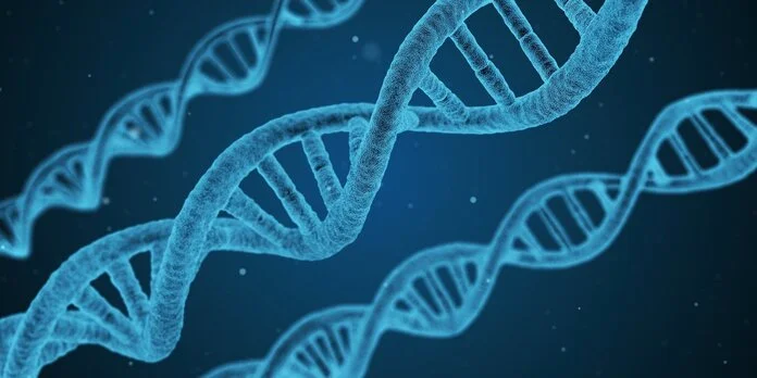 DNA-Strang, © Arek Socha, Pixabay Nahansicht der Doppelhelix eines DNA-Strangs.