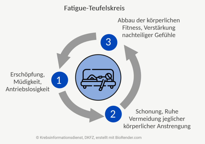 Fatigue-Teufelskreis, © Krebsinformationsdienst, DKFZ; erstellt mit BioRender.com Abbildung eines Kreislaufs mit 3 Punkten: 1. "ich fühle mich erschöpft", 2. "Schonung und Ruhe", 3. "Nachtteilige Auswirkungen auf den Körper und Psyche". In der Mitte ist eine Person auf dem Sofa liegend.