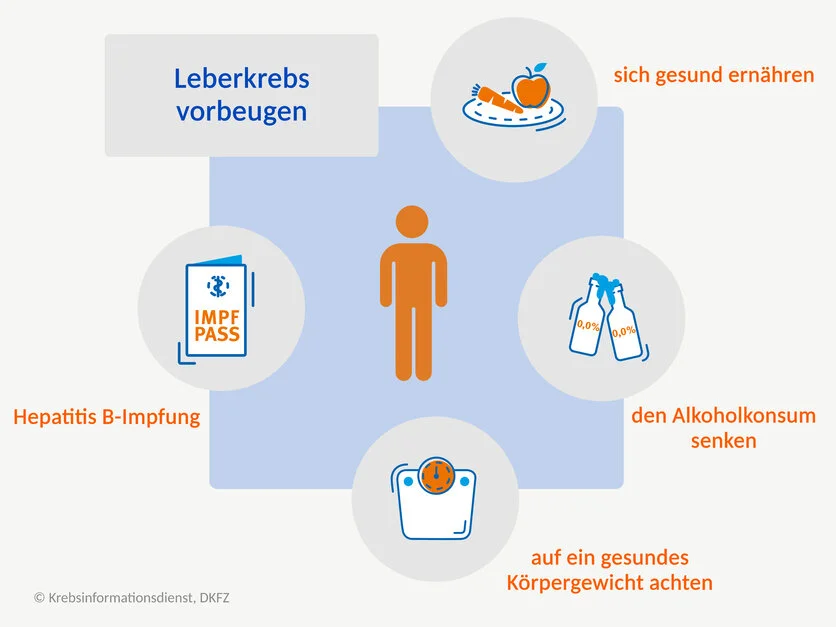 Leberkrebs vorbeugen, © Krebsinformationsdienst, DKFZ; erstellt mit Biorender.com Was Fachleute empfehlen, um Leberkrebs vorzubeugen: eine Hepatitis B-Impfung, eine gesunde Ernährung, wenig Alkohol trinken und ein gesundes Körpergewicht.