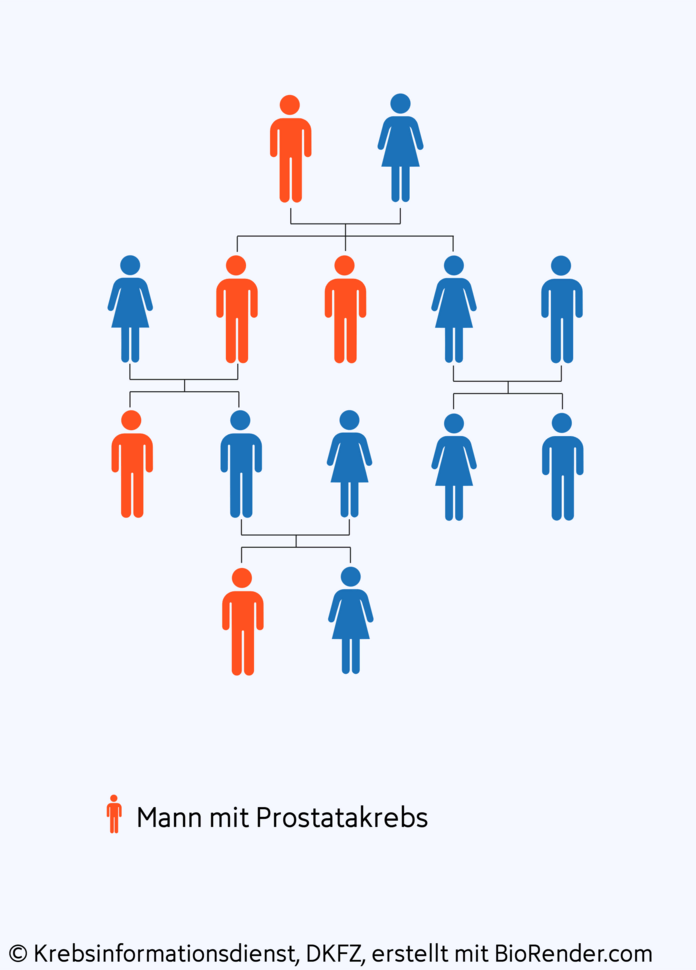 Stammbaum einer Familie mit erblichen Prostatakrebs: Es gibt Väter und Brüder die erkrankt sind und solche die gesund geblieben sind.