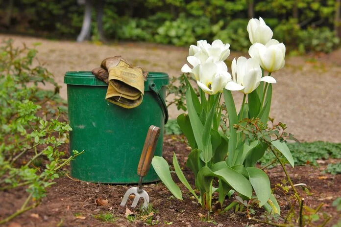 Gartenarbeit , © javallma, Pixabay Ein Eimer mit Gartenhandschuhen darauf steht in einem Blumenbeet.