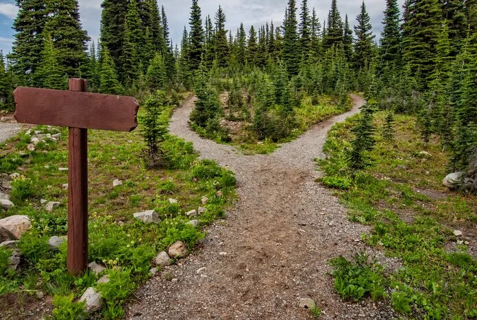 Waldwege, © James Wheeler, pexels Ein Weg im Wald teilt sich in zwei Wege auf.
